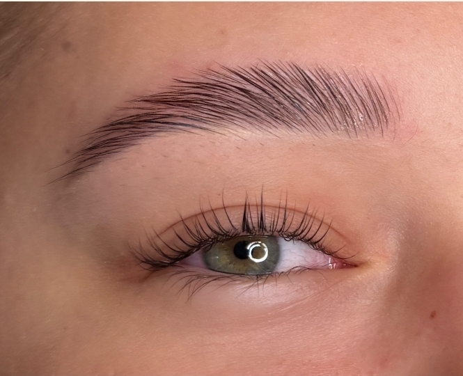 Brow lami/lash lift w/ tint
