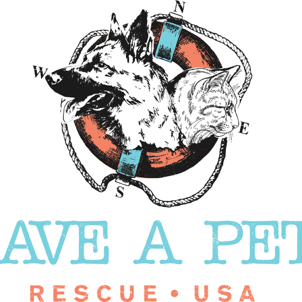 Rescue A Pet Discount at Holypawzgrooming in Highland, CA