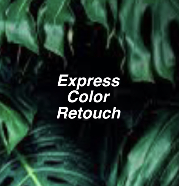 Express Color Retouch