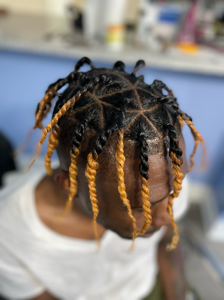 Starter Locs (2 Strand Twist) at 473 Locs Natural hair Studio in Evansville, IN