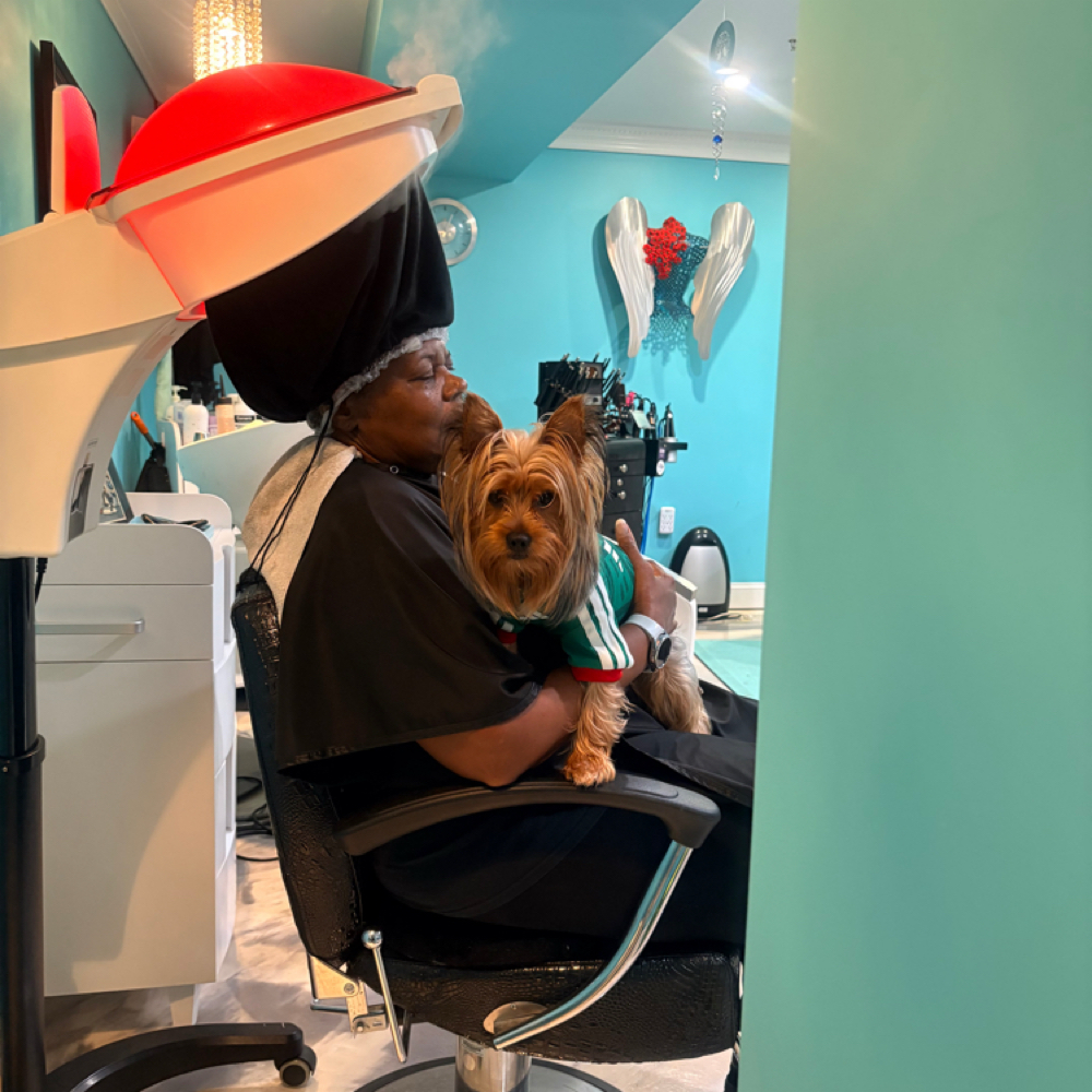 ✨ Shampoo + Steam Treatment $65 | 4 at Tonya's Hair Etc 1991 in Fort   Washington, MD