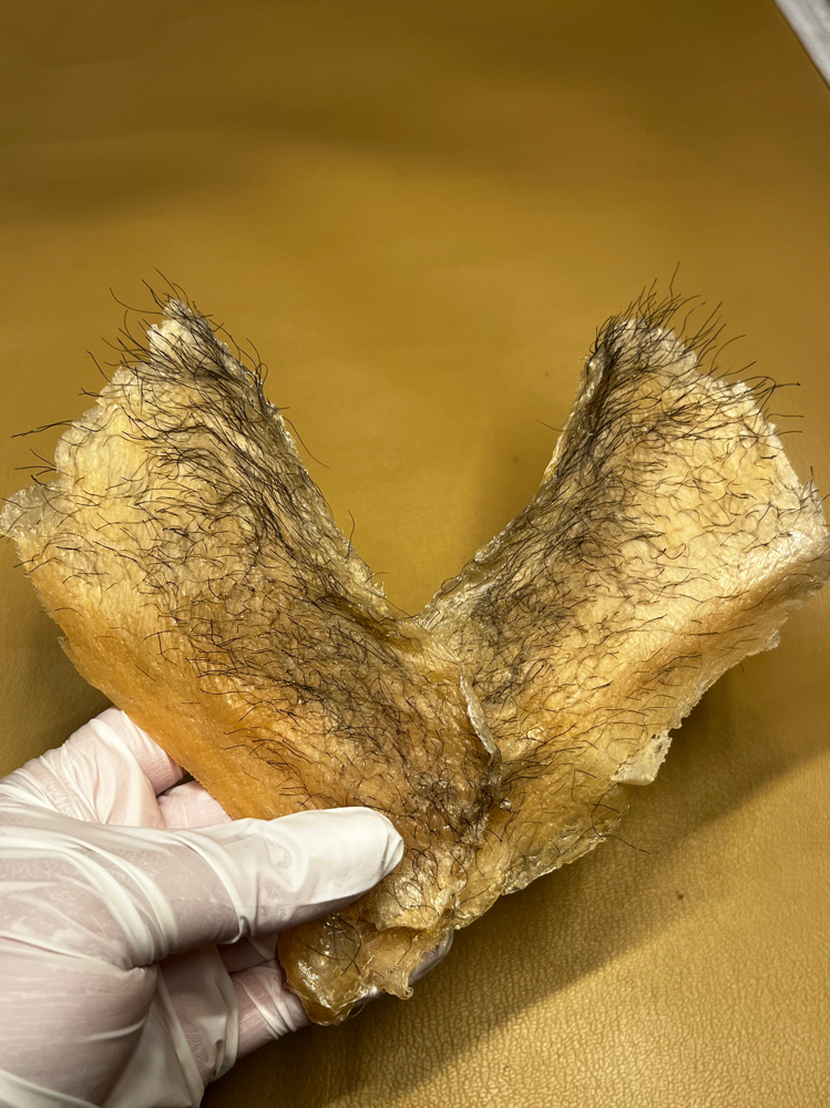 Bikini Wax