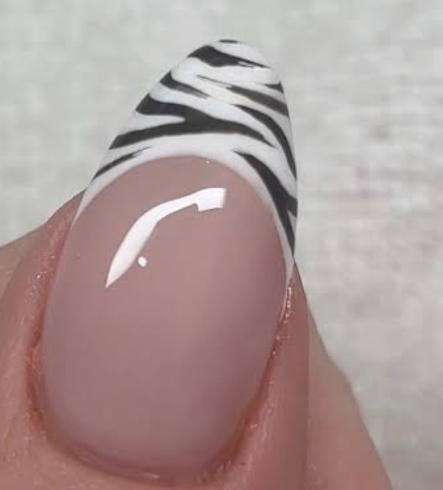 Animal Print Design