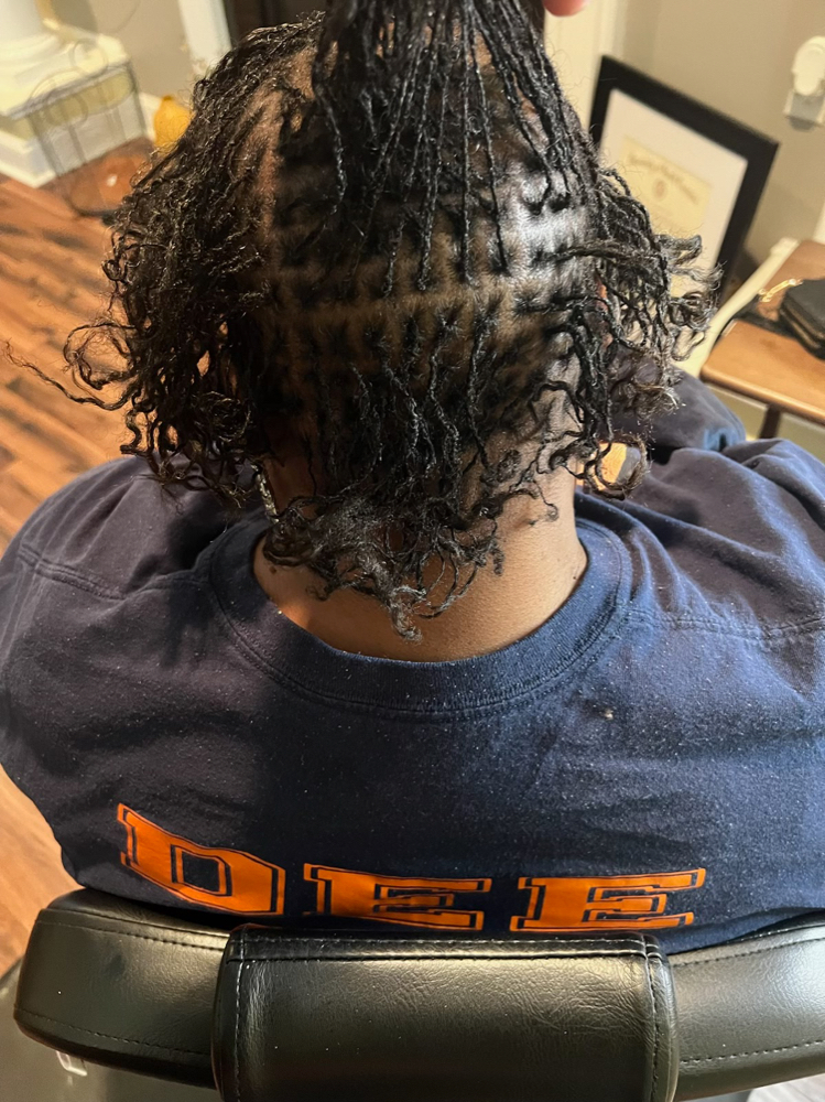 SisterLocks XL