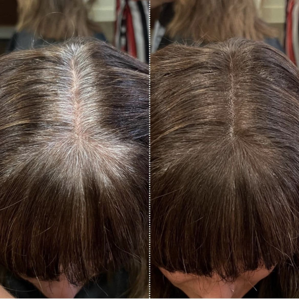 Root Touch Up at Buckwild Beauty | Backwoods Hair in Morristown, TN