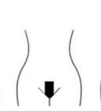 French Bikini Wax