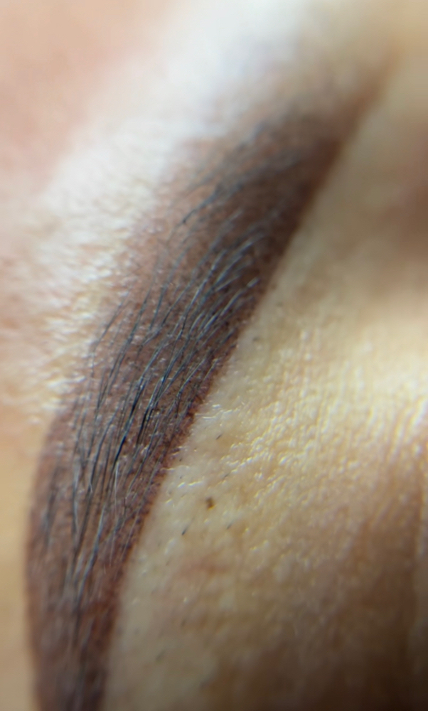 Powder Brow/ Primer retoque
