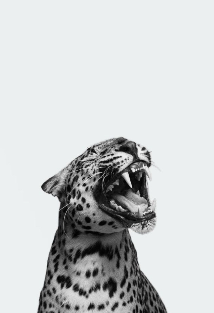 Bonding Treatment at Luxe by Helayna in San Antonio, TX