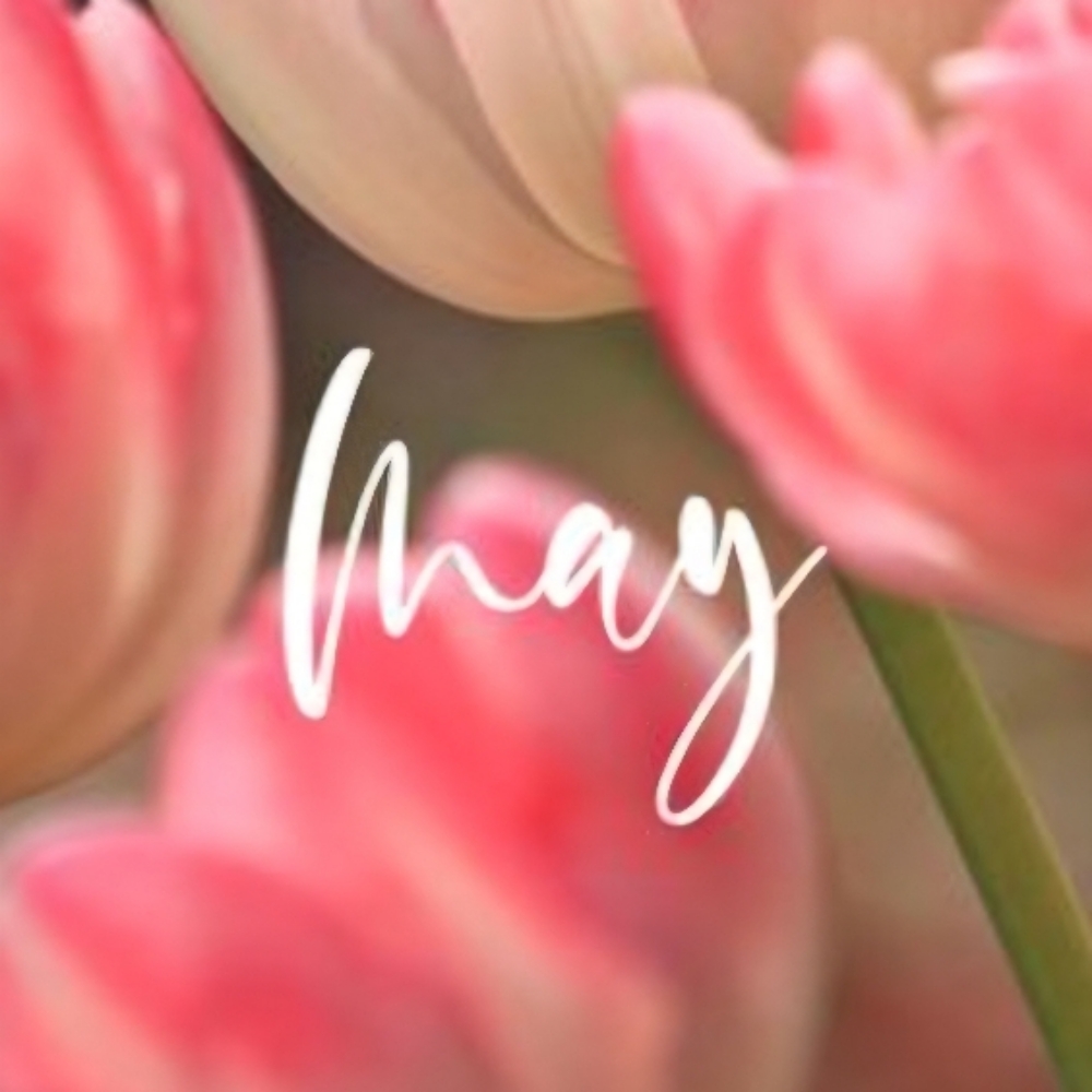 May Specials | Tans Expire 6/30 at Bronzed Bella in Murfreesboro, TN
