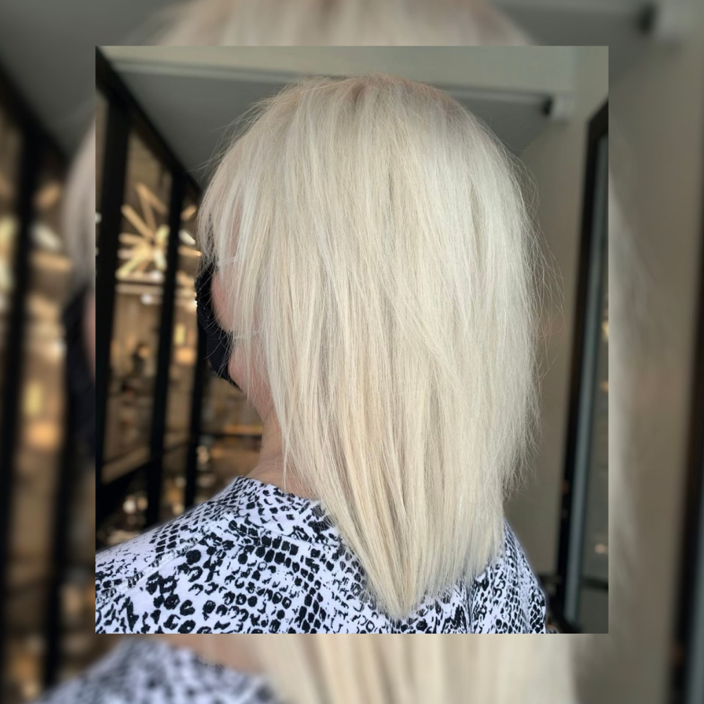 Maintanence Blonding Bleach + Tone