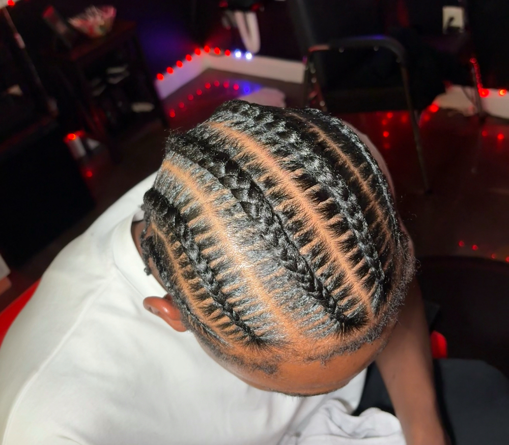 Straight Back Stitch Braids