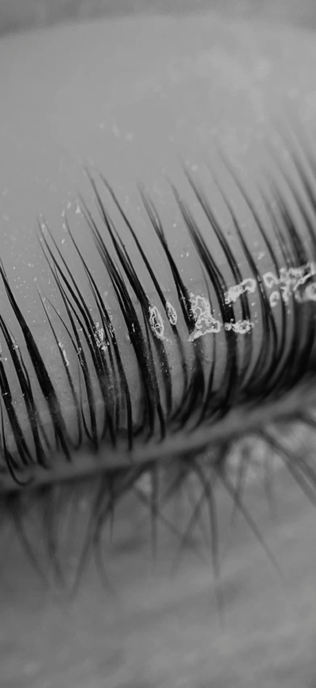 Lash Lift Training Course