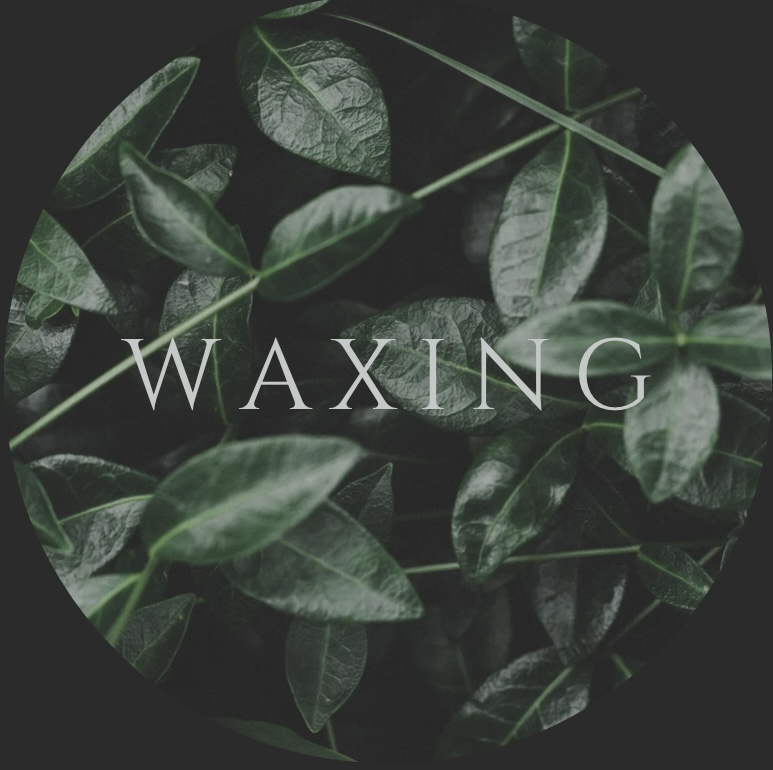 Waxing at LOST Esthetics in Missoula, MT