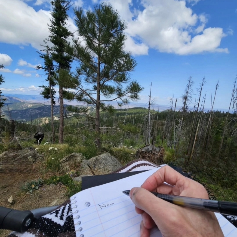 Subconscious Coaching 90 m. at Screaming Octopus in East Wenatchee, WA