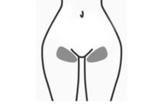 Bikini Line - Women Only at The Glam Architect in Lakewood, CO