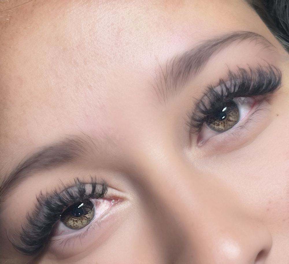 Volume Lashes