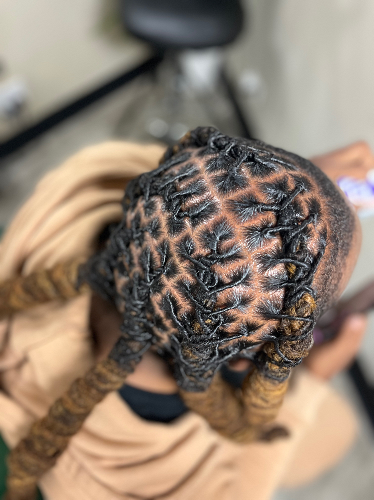 Loc Retwist + Basic Style