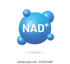 NAD+