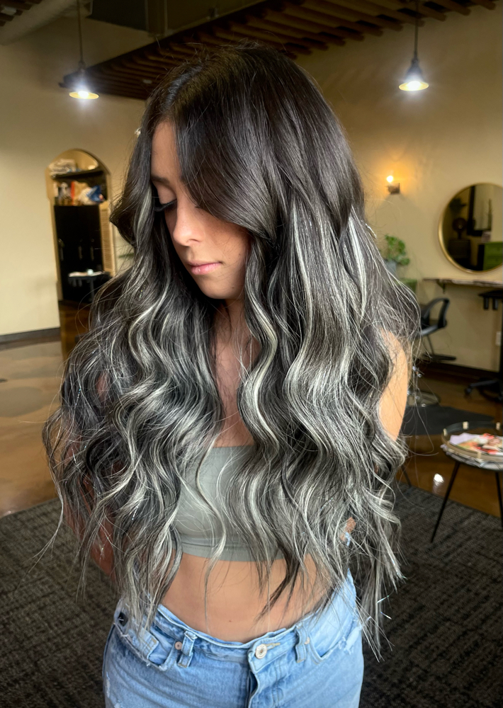 Toner + Blowout with Extensions