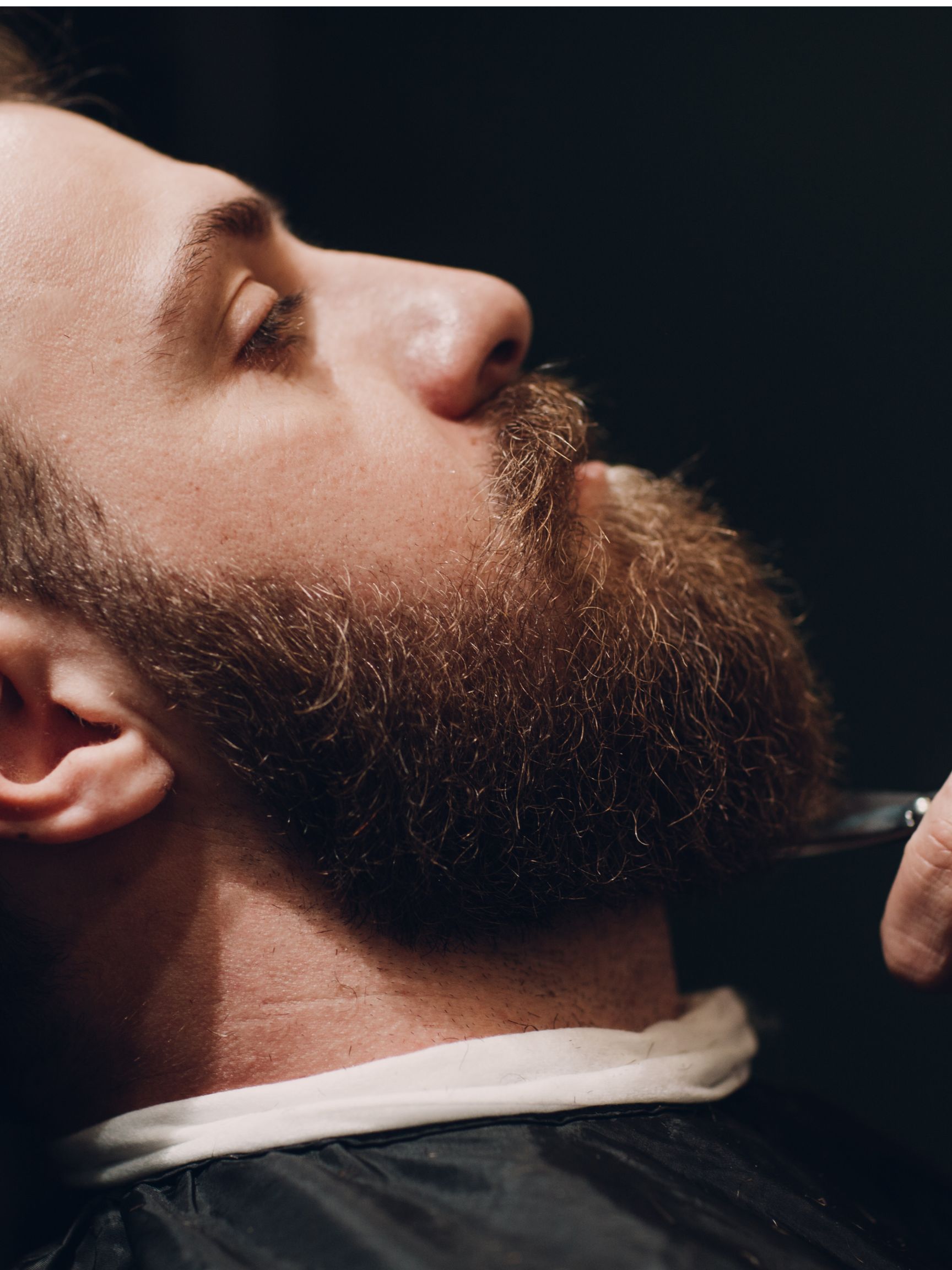 Beard Trim