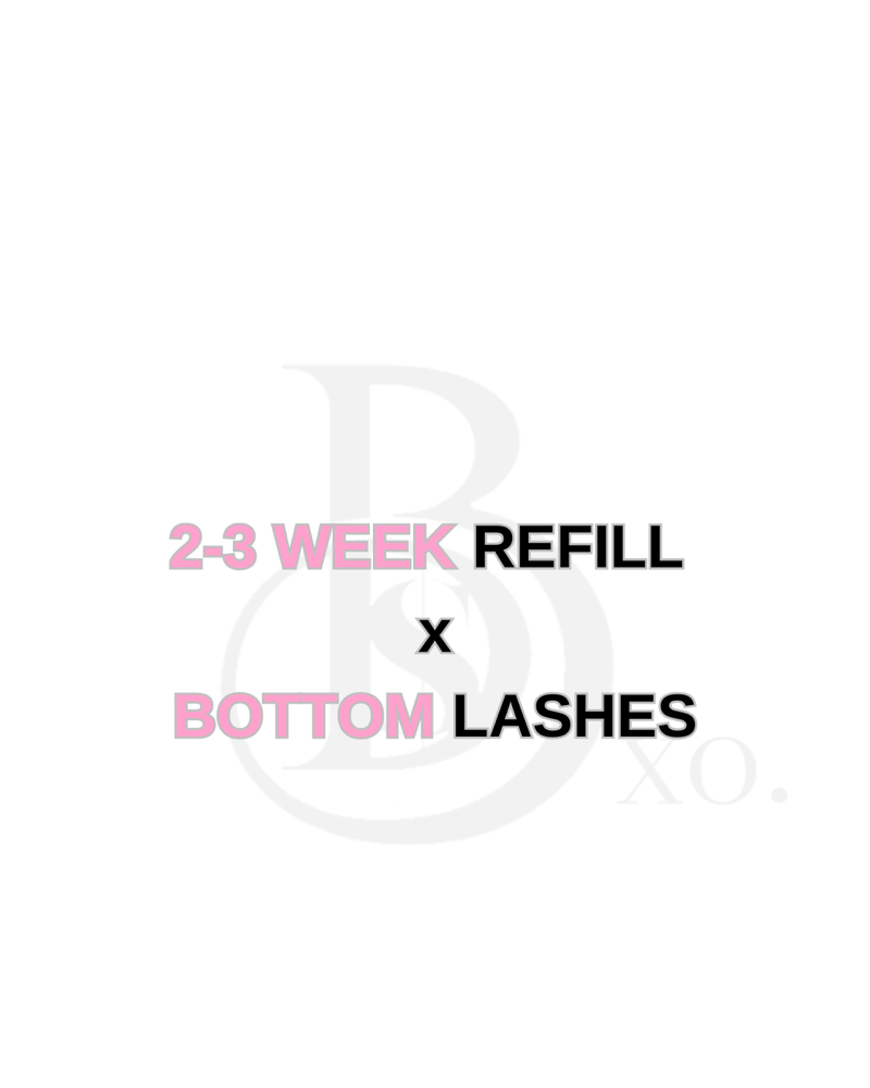 2-3 Week Refill x Bottom Lashes