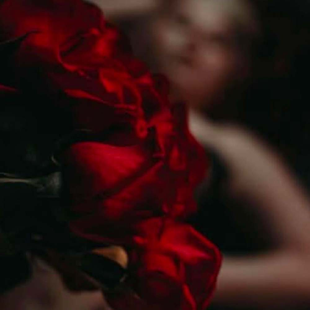 February Bikini Wax Special at JazzelleSkin Co in Moore, OK