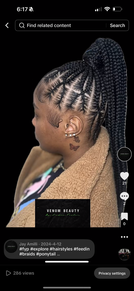 Braided Ponytail