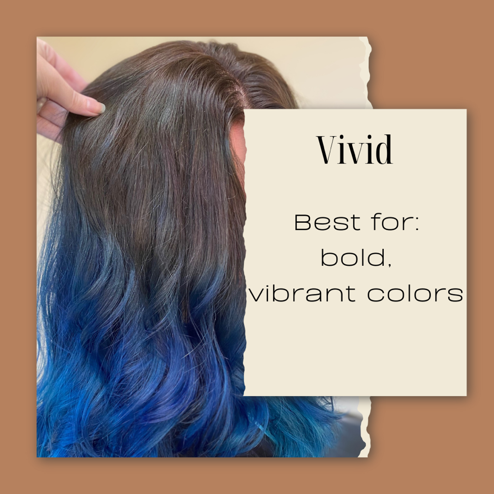 The Vivid Experience