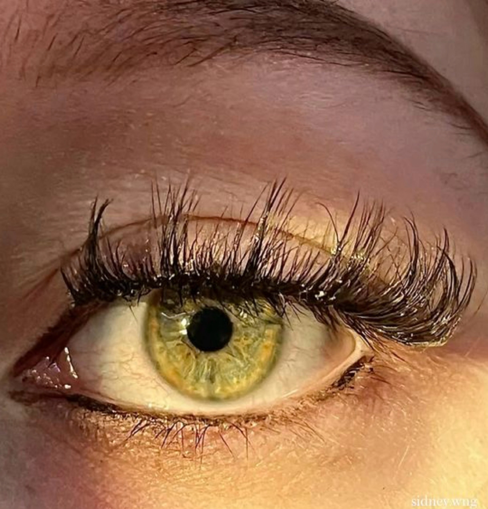 1 Week Classic Fill
