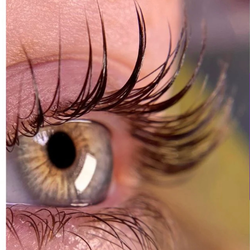 Lash Lift, Tint & Brow Laminations