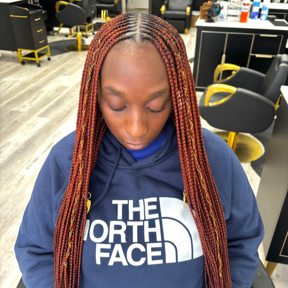 Tribal Braids at HAIR ART 77 in Homewood, IL