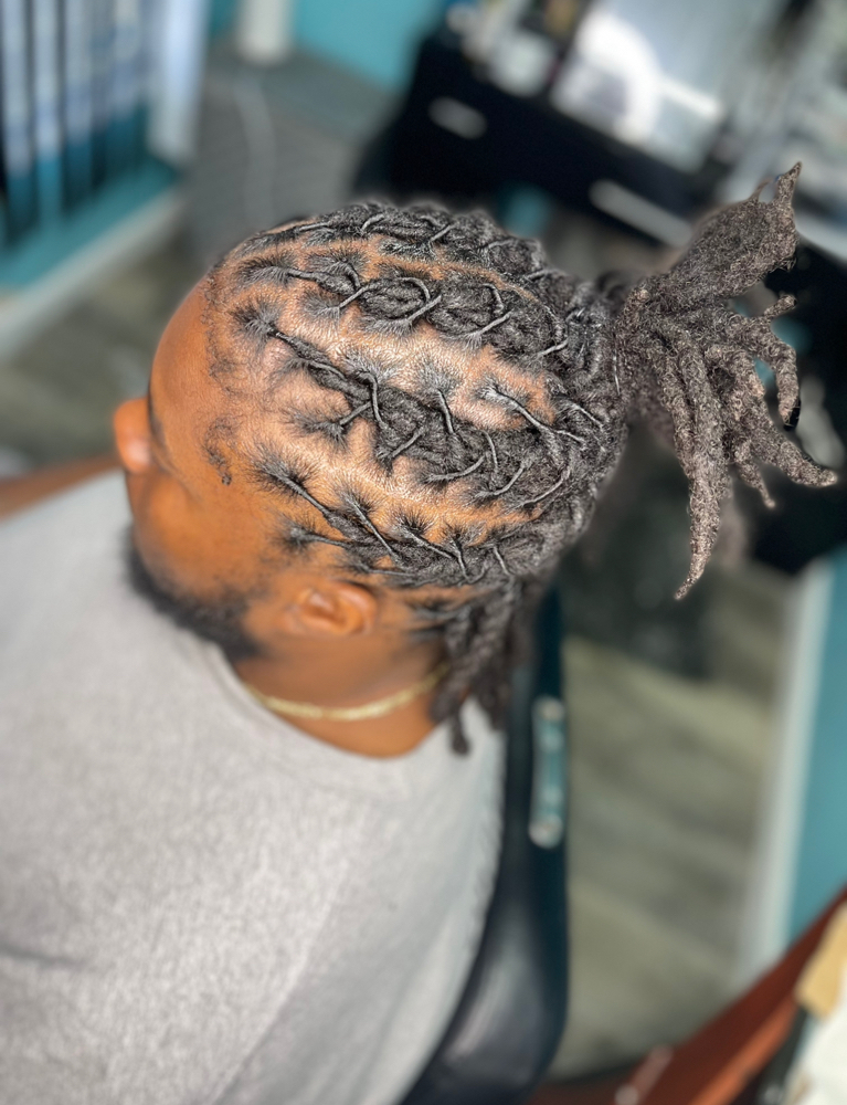 Half up/ Half Down (short)