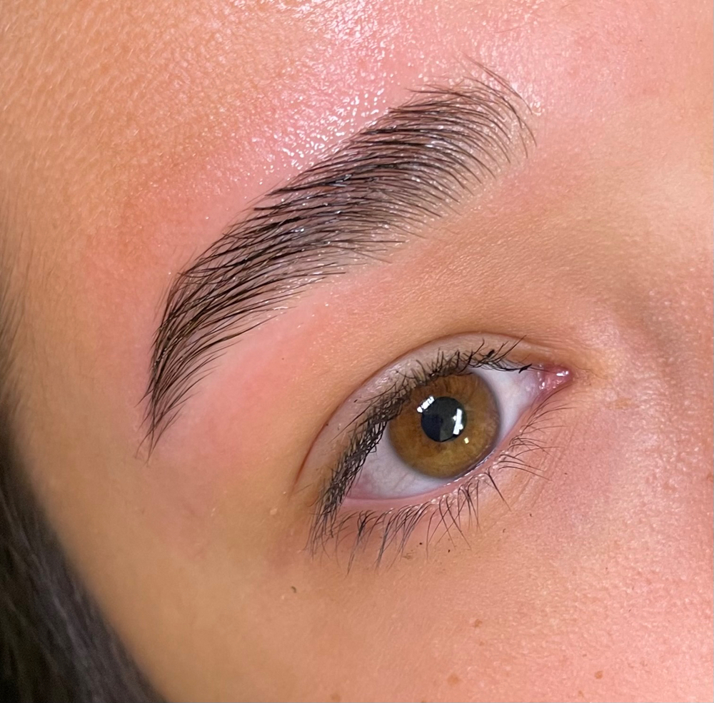 Laminated Brows