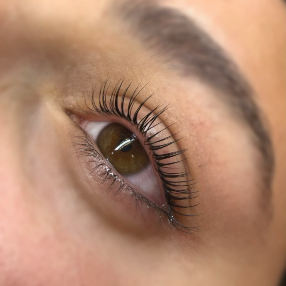 Korean lash Lift And Tint at Jensen Servold in Arvada, CO