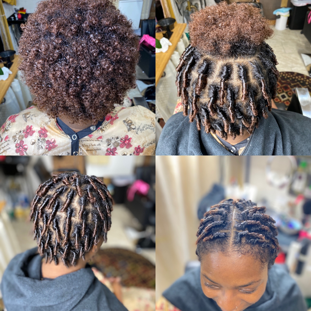 Starter Locs - Coils