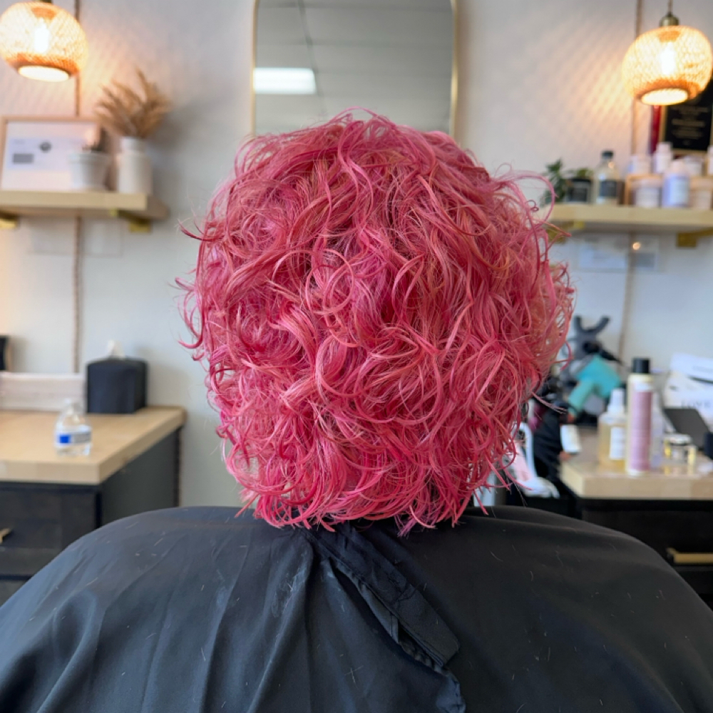Vivid Hair Coloring at Family Hair Lounge - Orange in Orange, CA