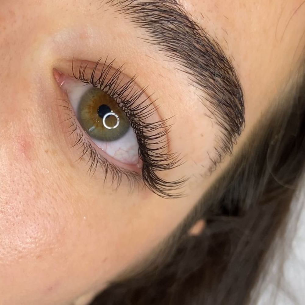 Classic Lash Extension Set at Shass Lash Lounge in Roseland/ South Bend, IN