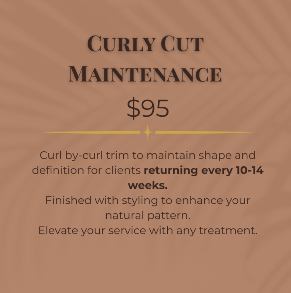 Curly Cut Maintenance at Styled By B in Richmond, TX
