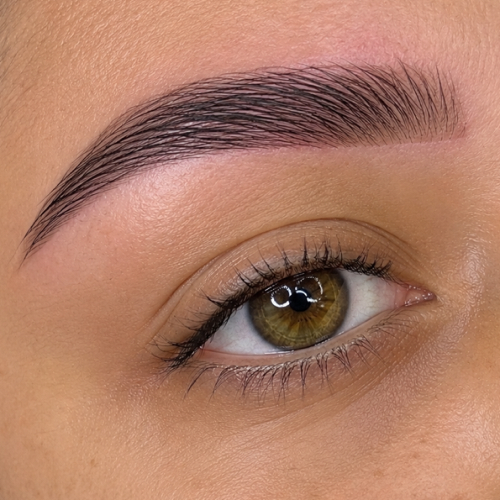 Brows Tint & Wax at Laurenn Lafaurie Studio in Paterson, NJ