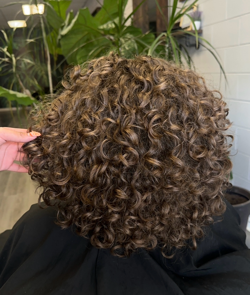 Curly Cut
