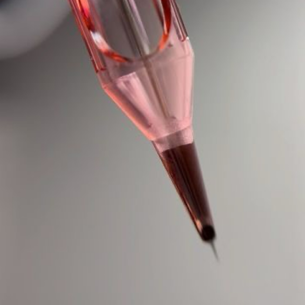 Lash Enhancement 8 Week Touch Up at The Pretty You Studio in Portland, ME