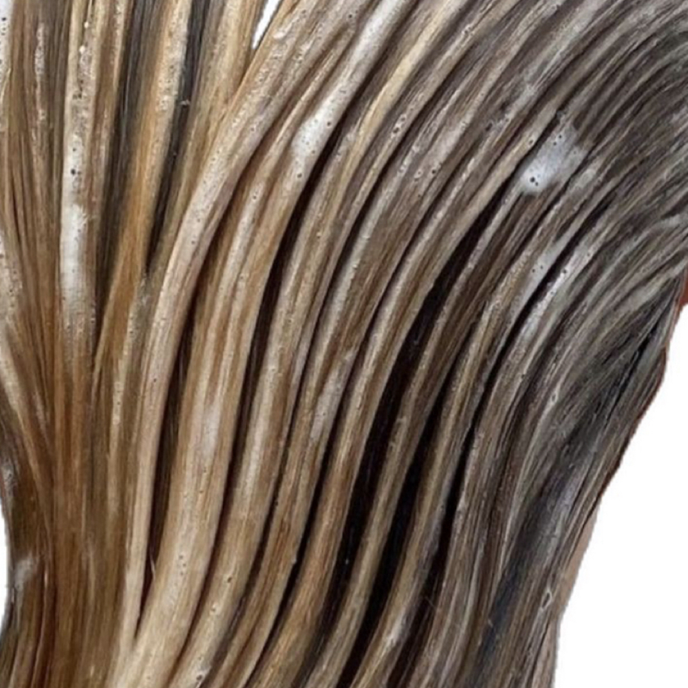 Blondifier Treatment at hairby.ashleyrae_ in Ludington, MI