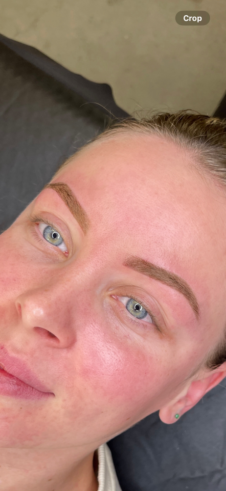 Brow Tint + Wax
