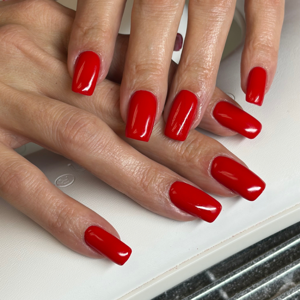 Hard Gel Manicure at Anna Art Nail Studio LLC in San Mateo, CA
