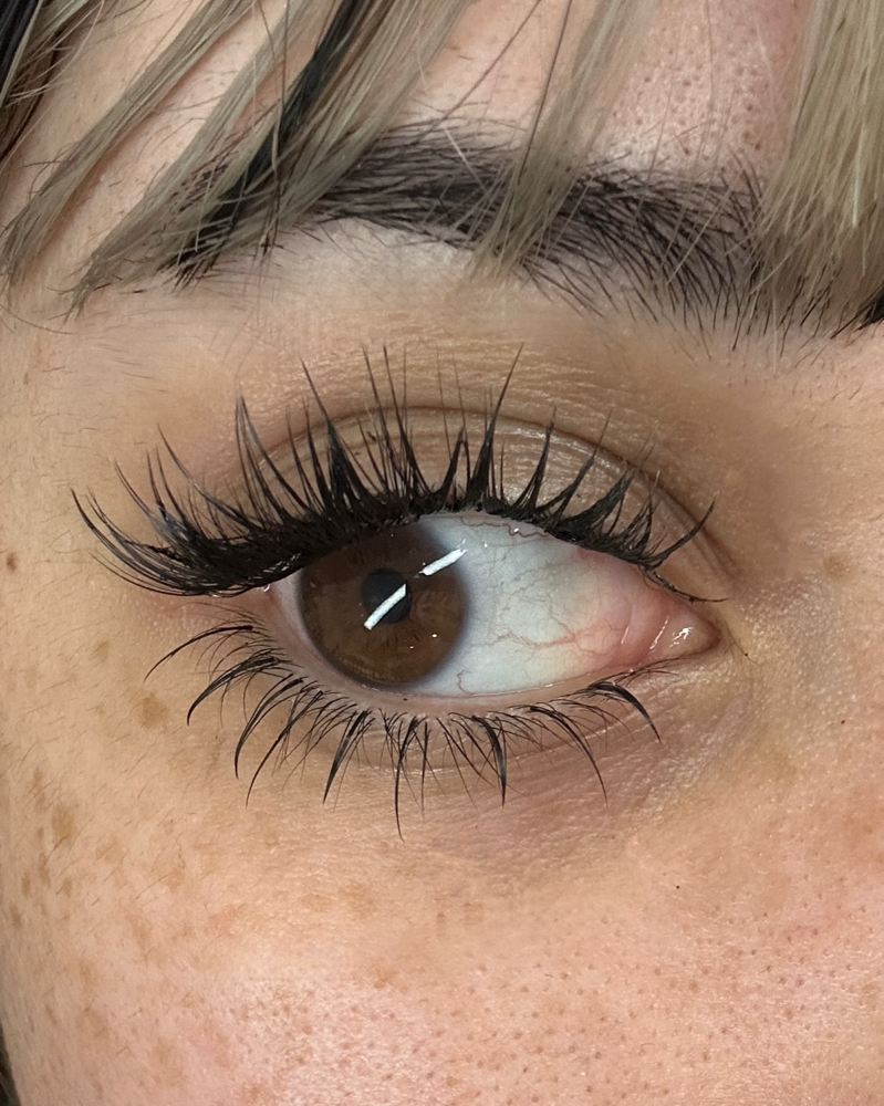 Add Bottom Lash Extentions