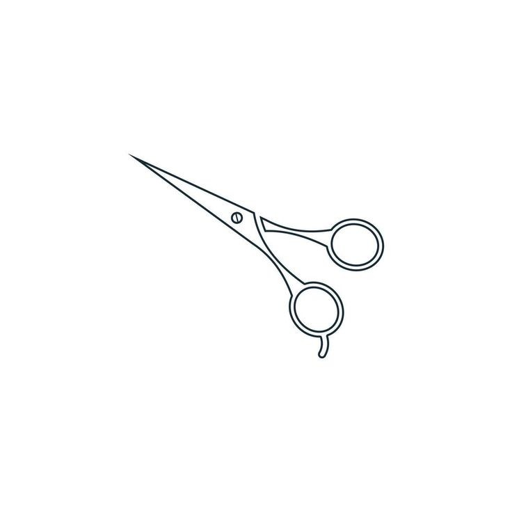 Haircut w/style