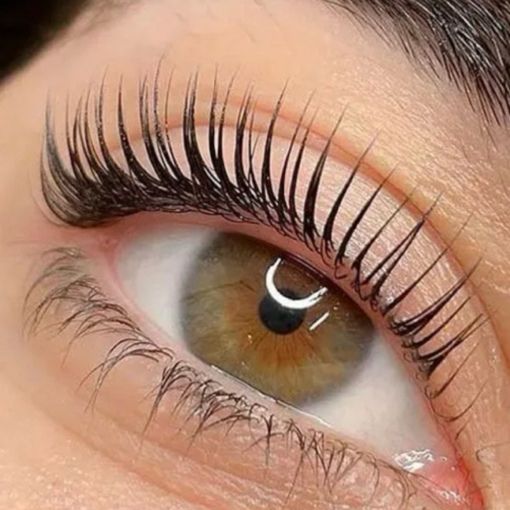 Korean Lash Lift + Tint at Rose & Balance Skin Studio in San Diego, CA