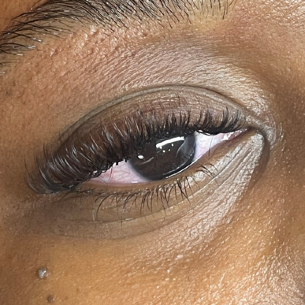 Mini Custom Fill (0-7 days) at Exquisite Studios in Lady Lake, FL