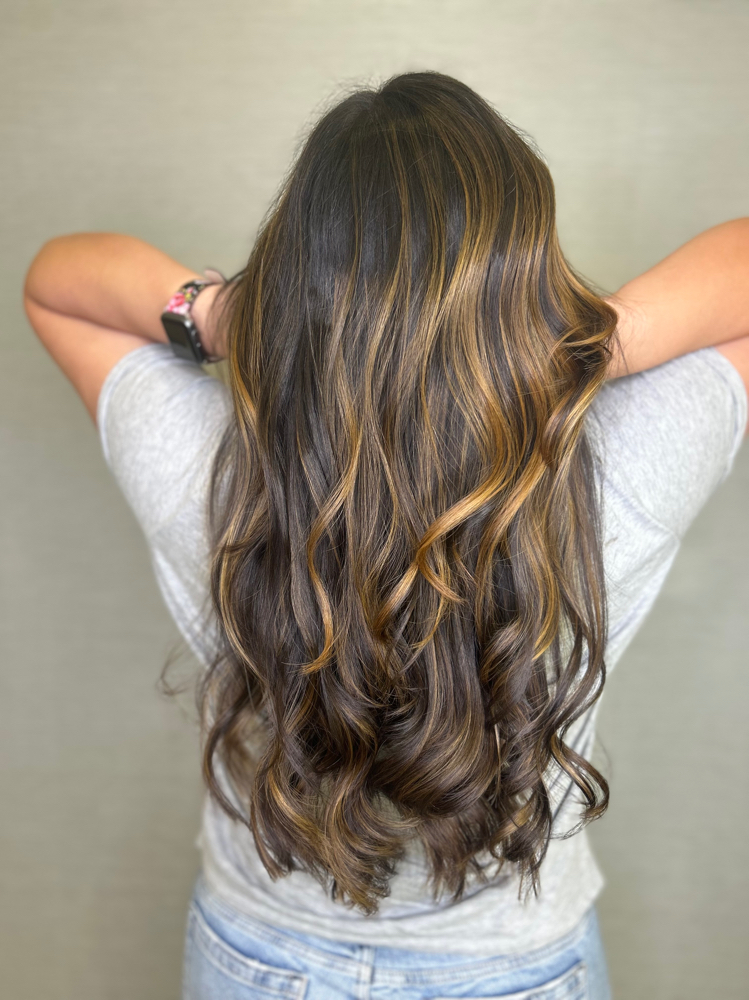 Partial HiLight at D'Luxx Beauty in San Antonio, TX