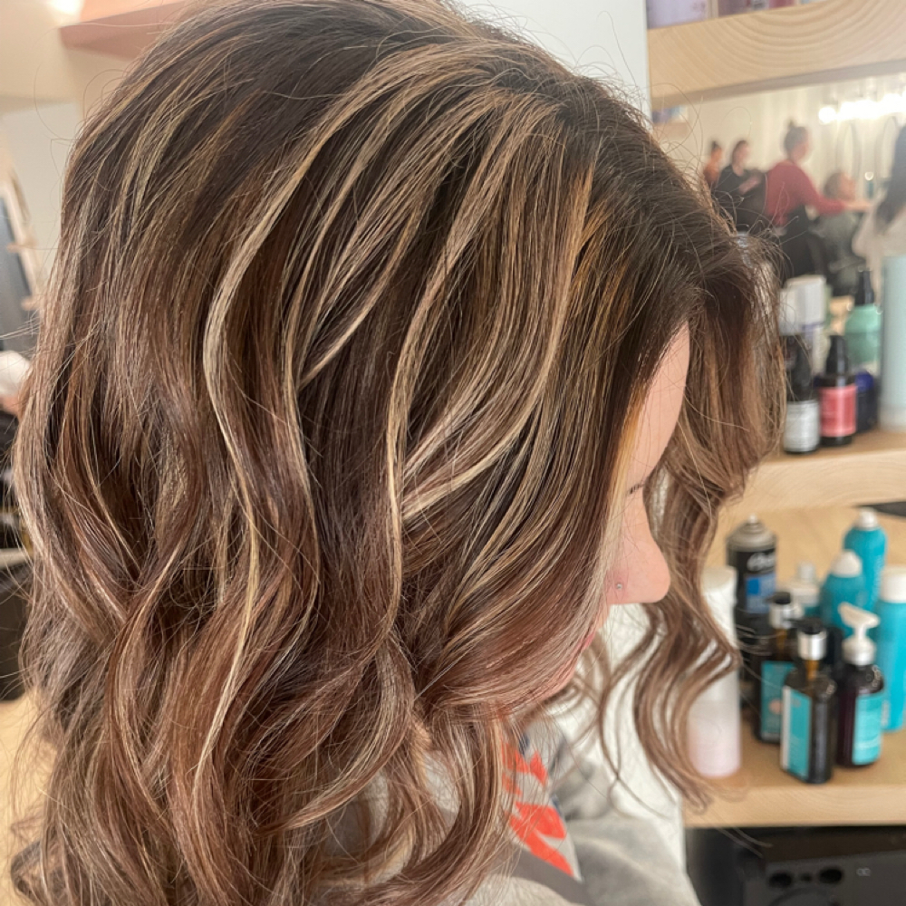 Top Highlight at Mane Haven in Marshall, MI